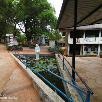 281478856 344664287766099 5136569844538617434 N