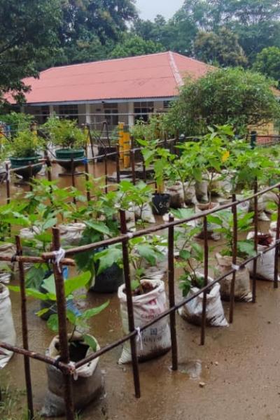 Whatsapp Image 2022 12 19 At 11.01.07 Am 1